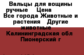 Вальцы для вощины ручные  › Цена ­ 10 000 - Все города Животные и растения » Другие животные   . Калининградская обл.,Пионерский г.